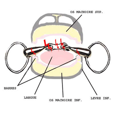 embouchure4.gif