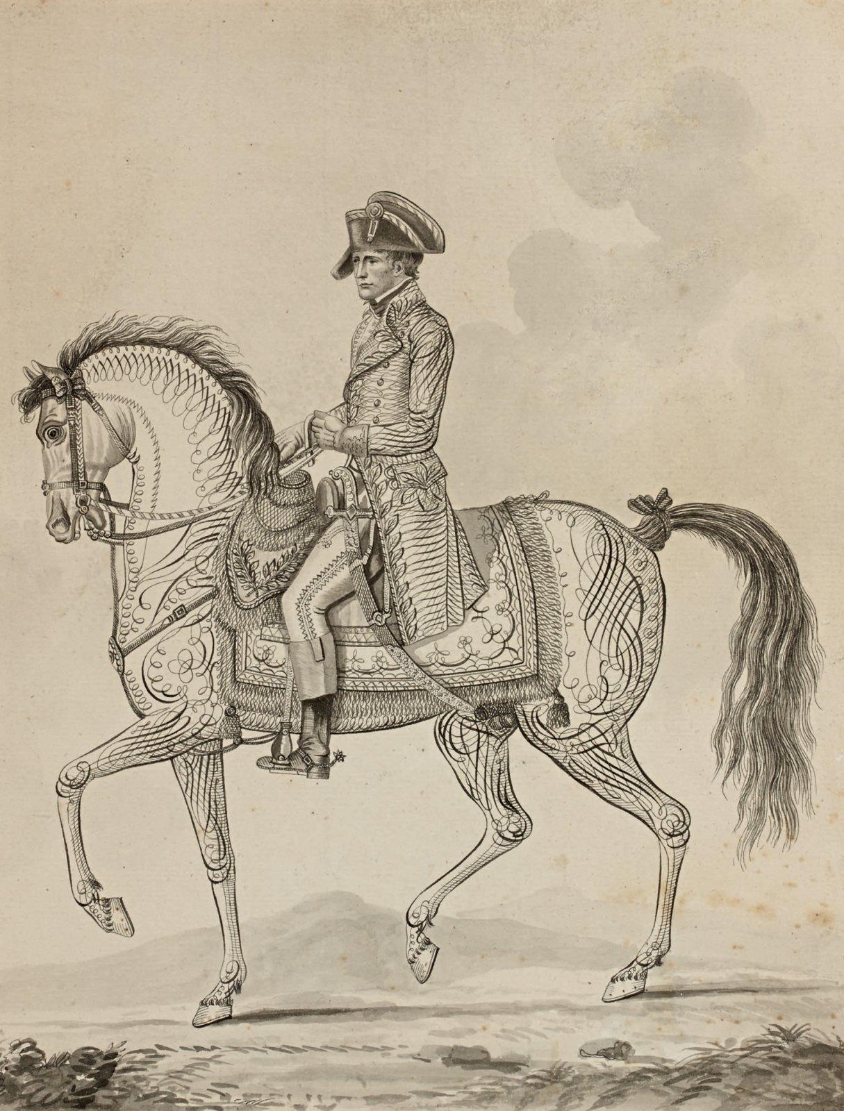 Equestrian_Portrait_of_Napoleon_as_First_Consul.jpg