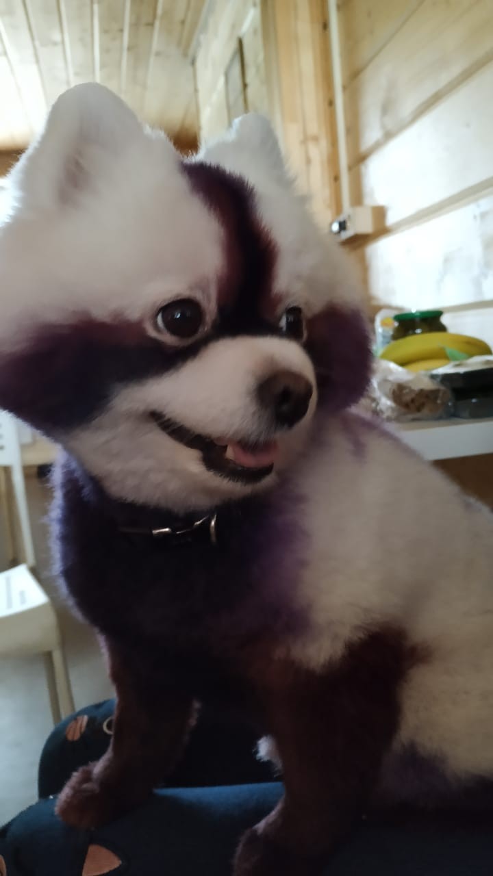 er2kyjwYEEk.jpg
