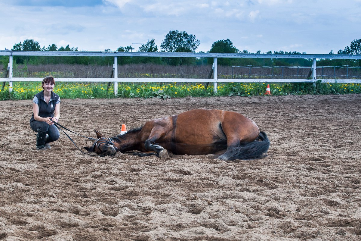 etx8Bgs_CbA.jpg etx8Bgs_CbA.jpg