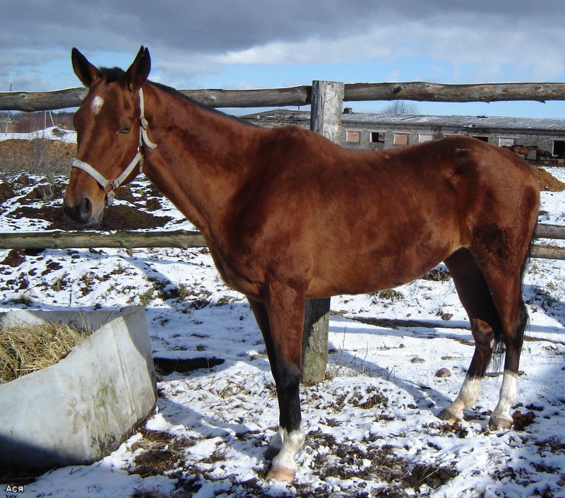 f3dd06ceca94.jpg
