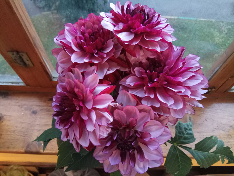 F_182124.jpg