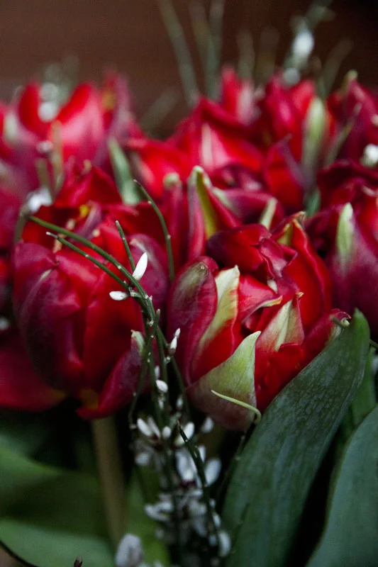 F_7569.webp