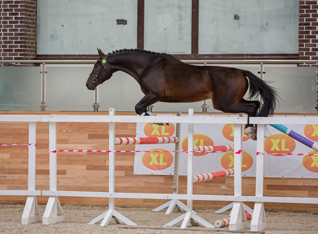 Фарух_130 см.jpg