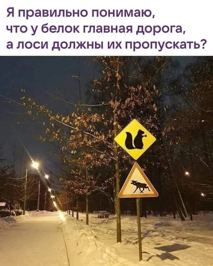 FB_IMG_1715155806485.jpg