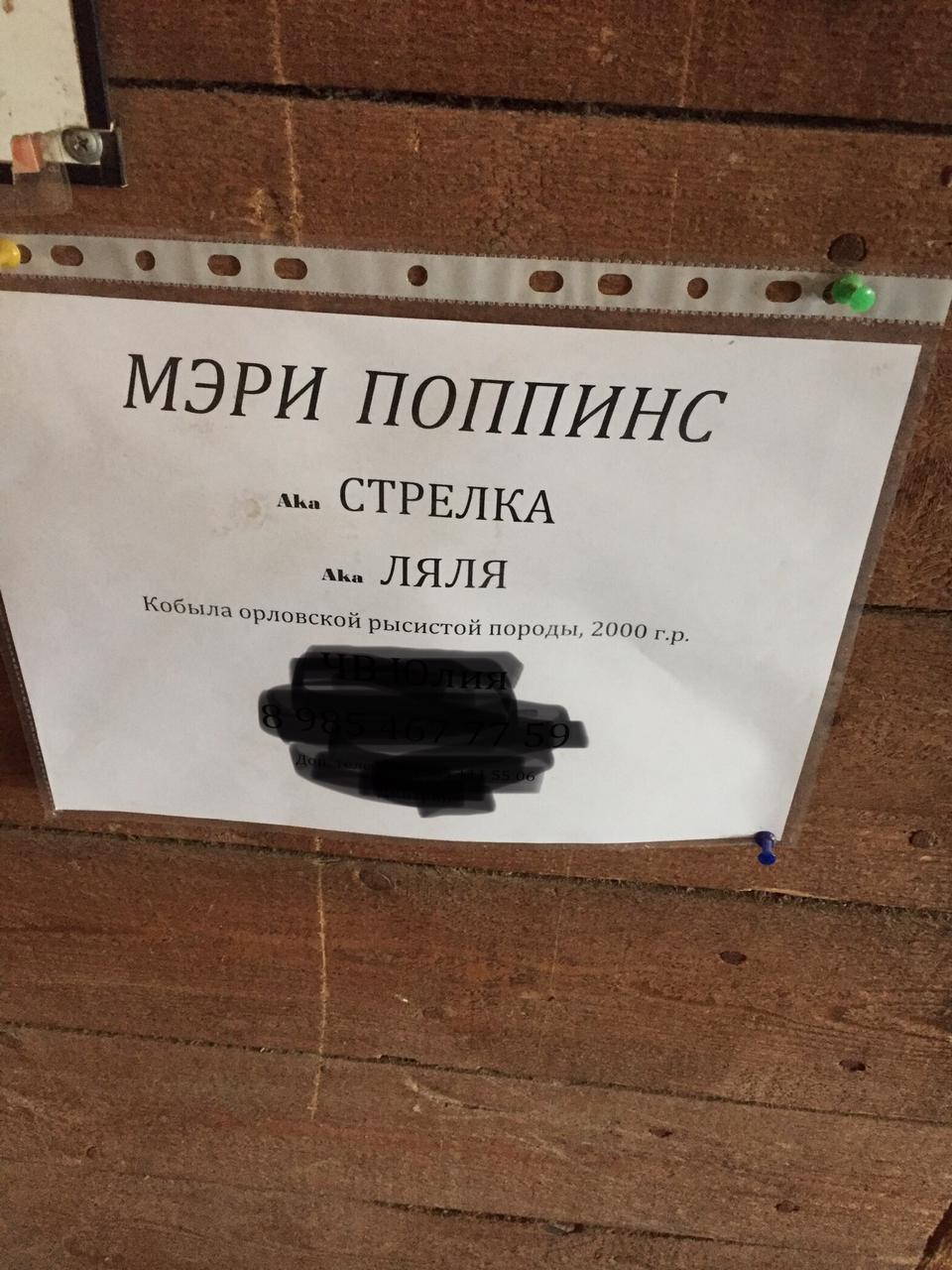 FDDEF4EC-D7A4-4D1D-ACF0-A0F35B575EEA.jpeg