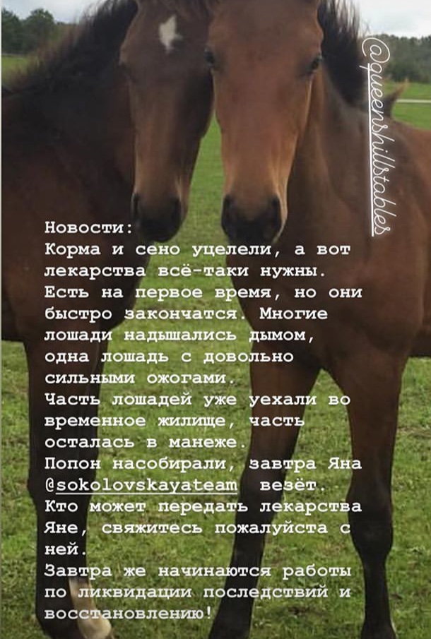 FEE8268F-4E6E-4EDC-BF0C-AA6EE96FFFD1.jpeg
