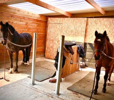 ferme-des-frenes-salle-de-soins-1-400x350.jpg