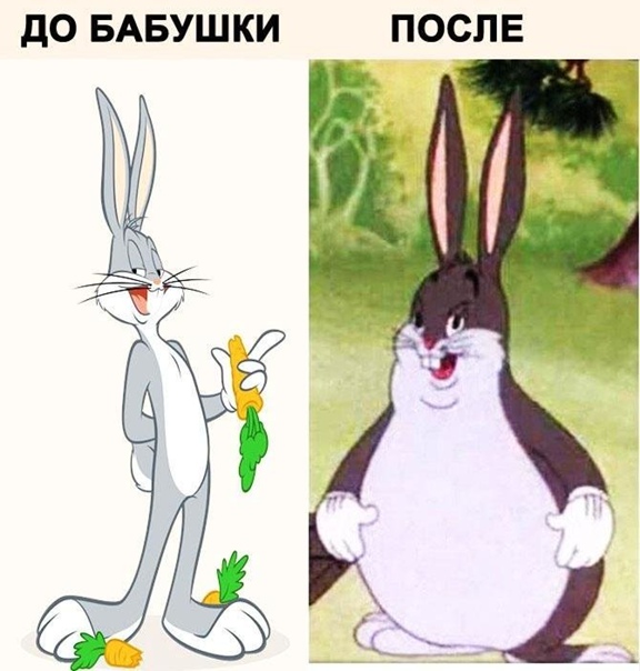 Fhv_KeatV_LOTpAuxoOtMwcVWtyh7dl6OktfUaEctLmD4eYDX8zoYqmfXVMacXiq6Aw9cdEx.jpg