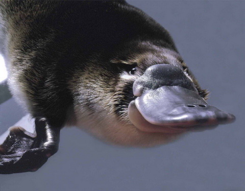 fJjb9PWj8Y0.jpg