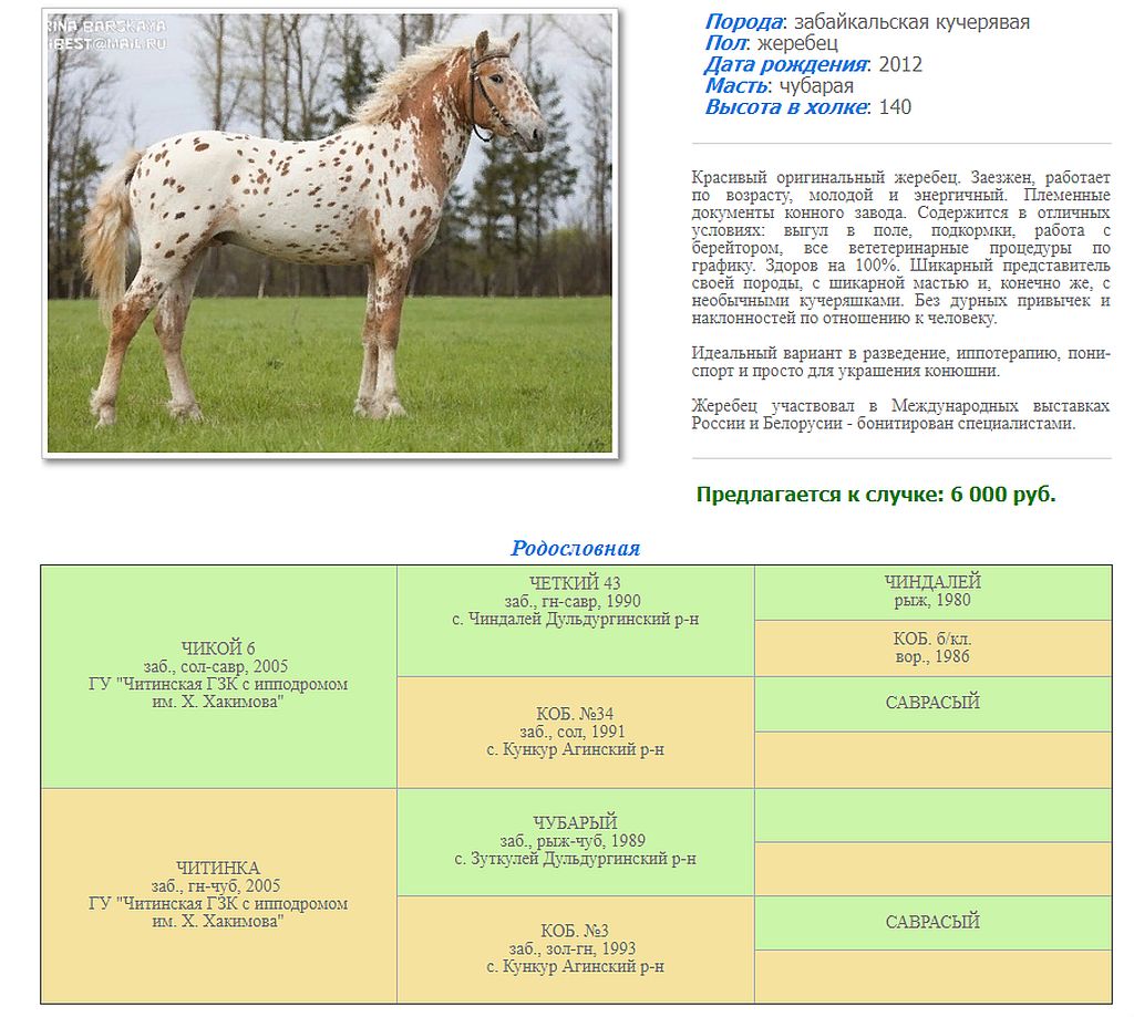 Флек.jpg