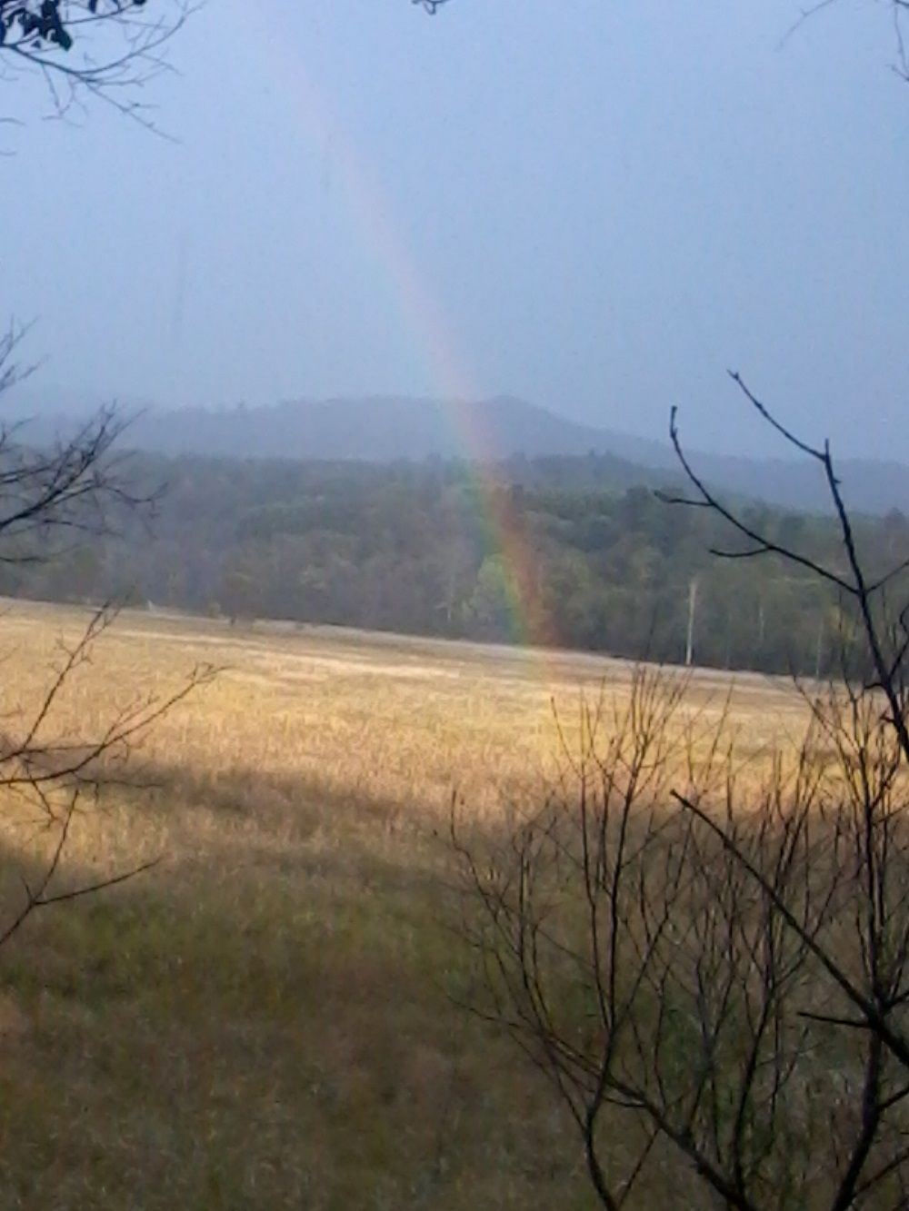 Фото-0007 (2).jpg