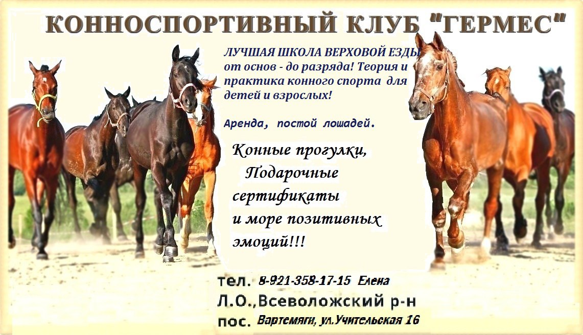 Фото клуба.jpg