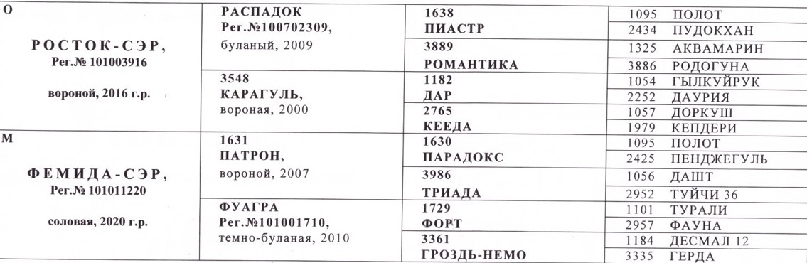 ФРАНЧЕСКА 2.jpg