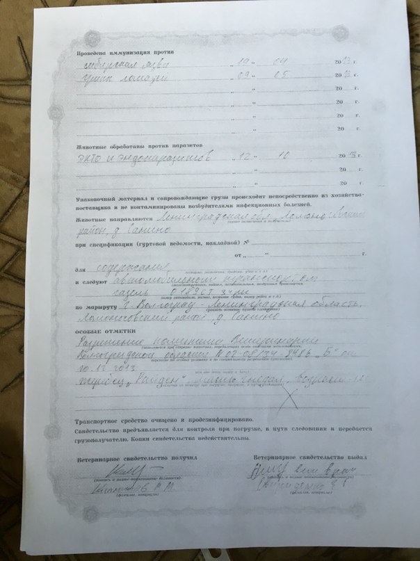 FRs3C5rS5F0.jpg