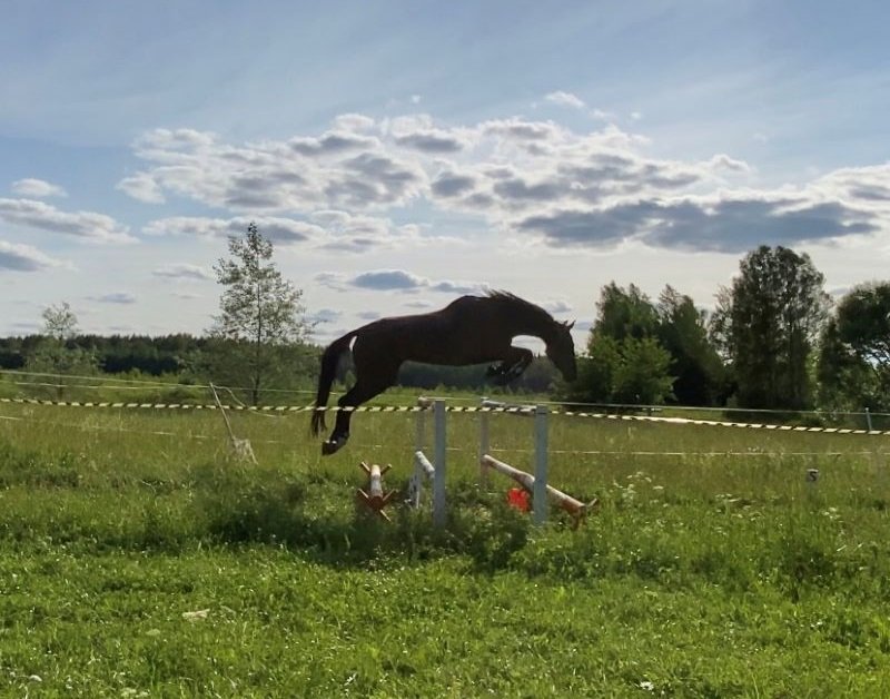 FullSizeRender (10).jpg