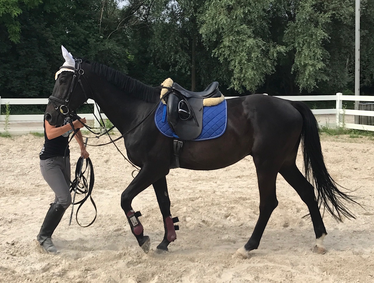 FullSizeRender (2).jpg