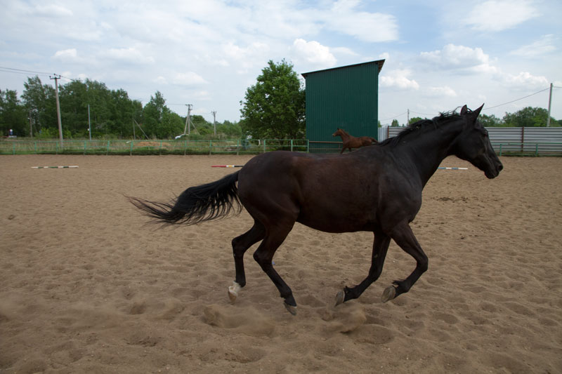 G_1092.jpg