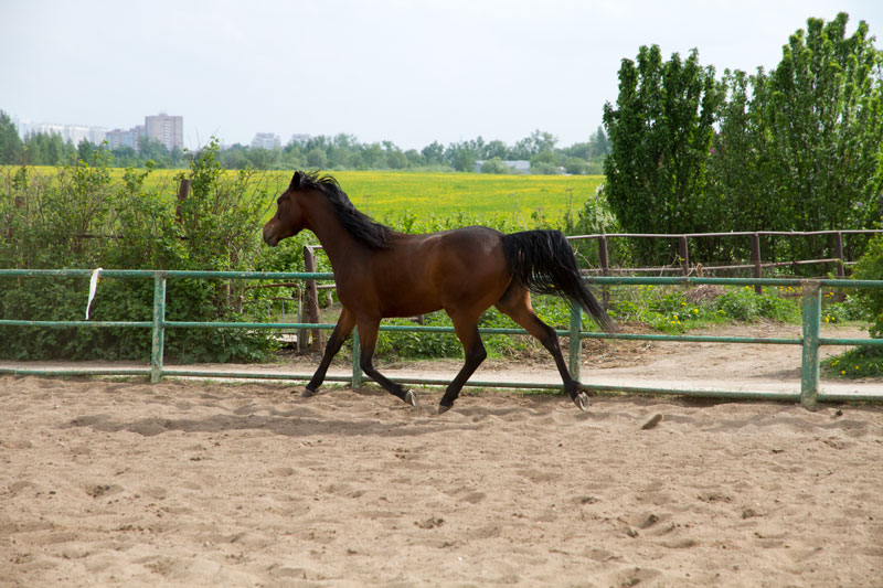 G_1202.jpg