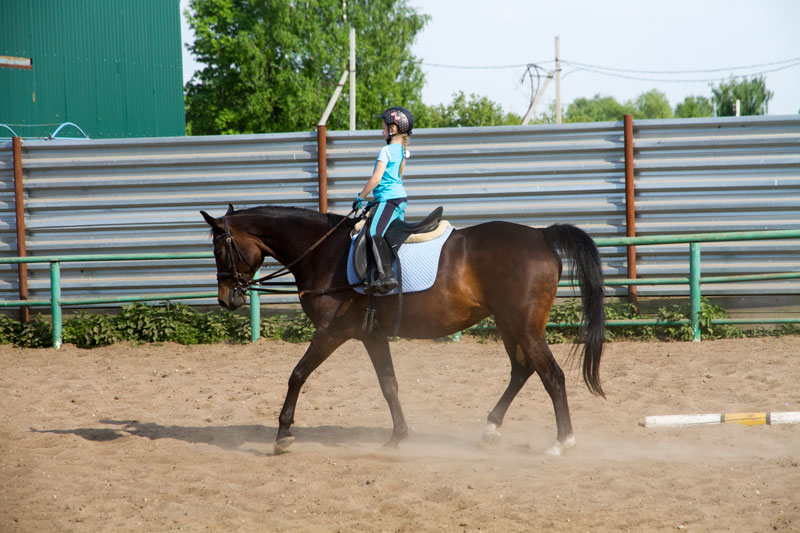 G_1307.jpg