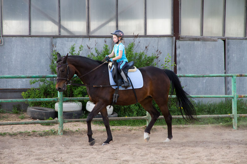 G_1373.jpg