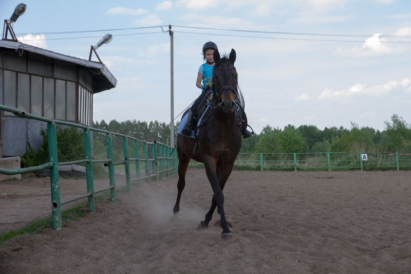 G_1388.jpg