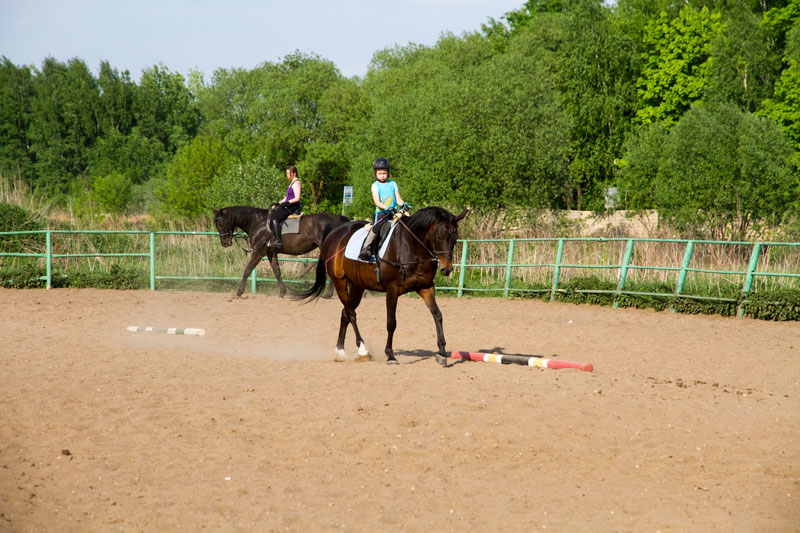 G_1473.jpg