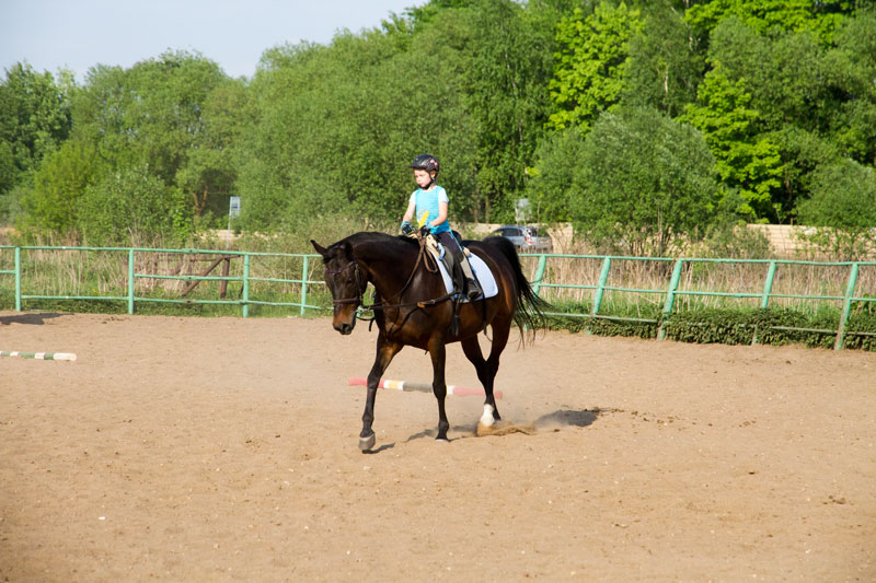 G_1476.jpg