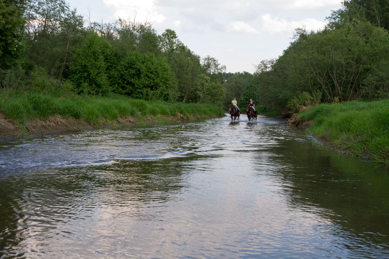 G_1860.jpg