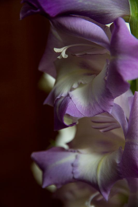 G_2664.jpg