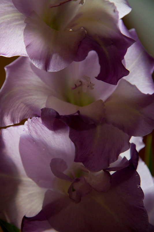 G_2693.jpg