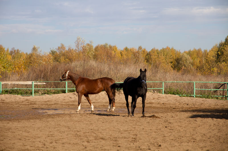 G_6256.jpg