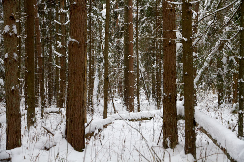 G_6341.jpg