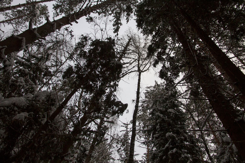 G_6347.jpg