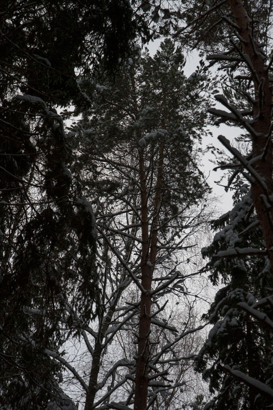 G_6348.jpg