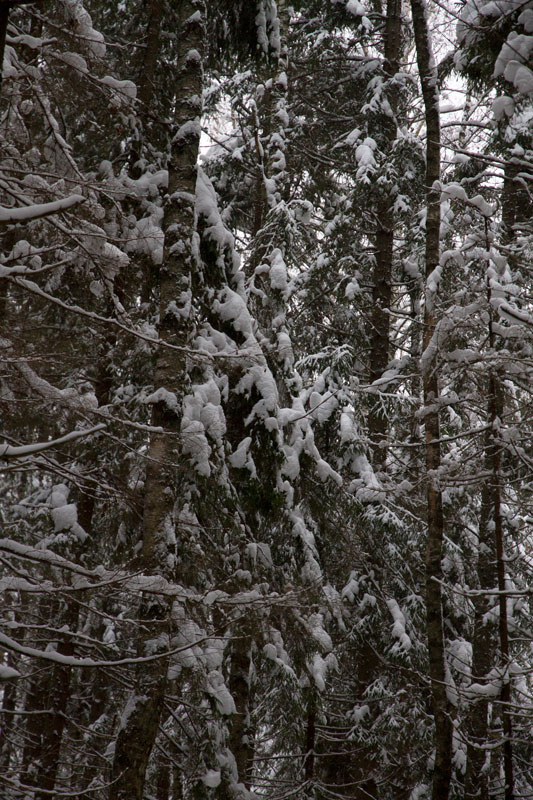 G_6404.jpg