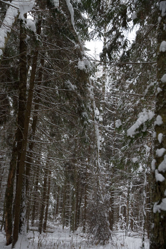 G_6412.jpg