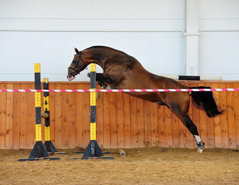 Gaon-jump.jpg