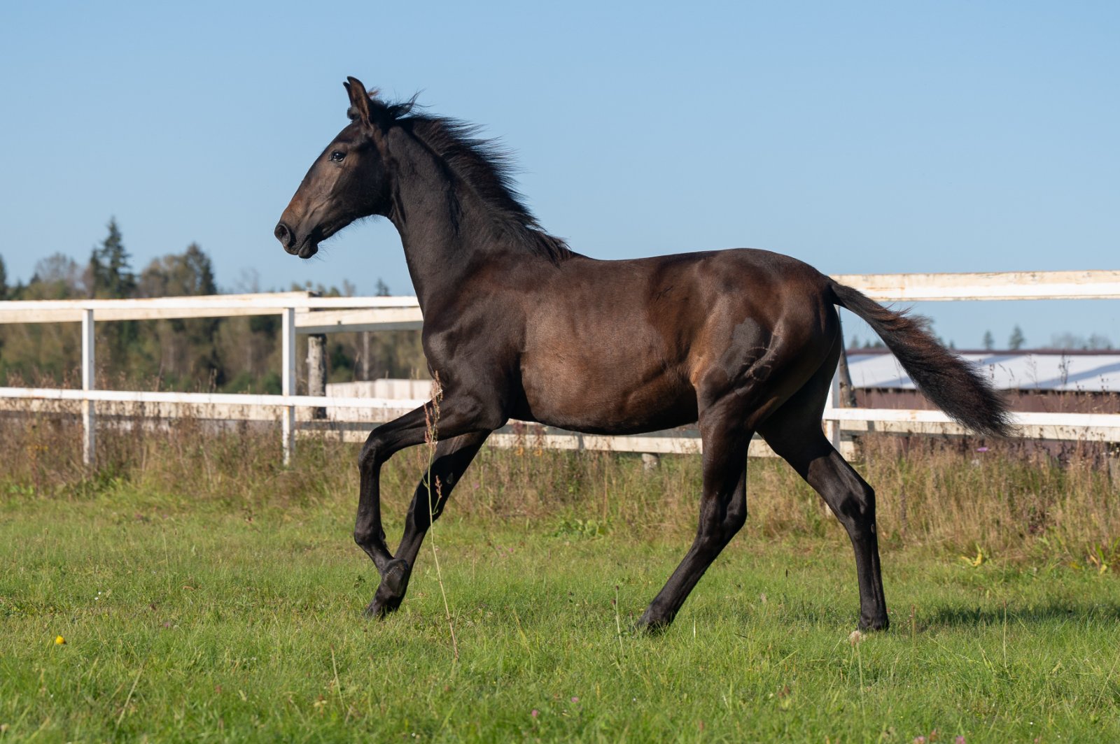 GEF_1919 копия.jpg