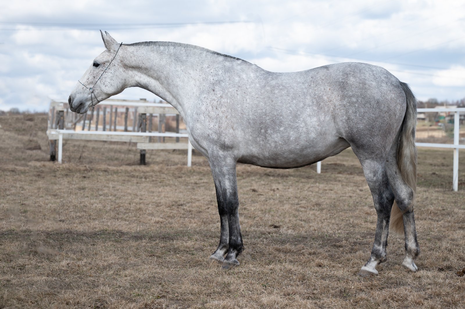 GEF_8506 копия.jpg