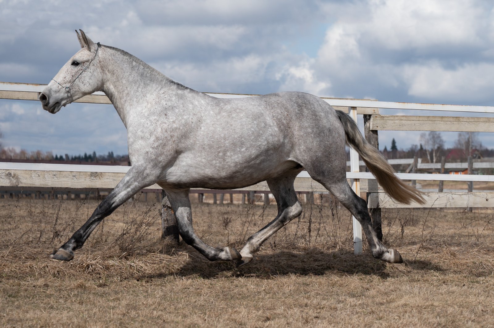 GEF_8615 копия.jpg