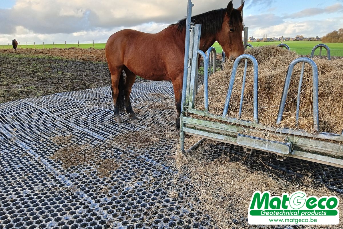 geodal-farm-51-dalle-stabilisation-pour-animaux-chevaux-betail-gravier-sable-gazon-23.jpg