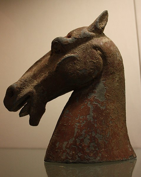 голова.jpg