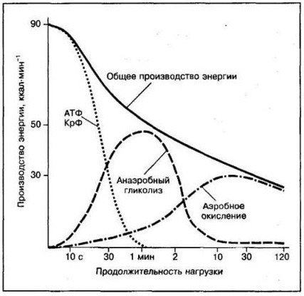 график-нагрузки-анаэробная-аэробная-600x418.jpg