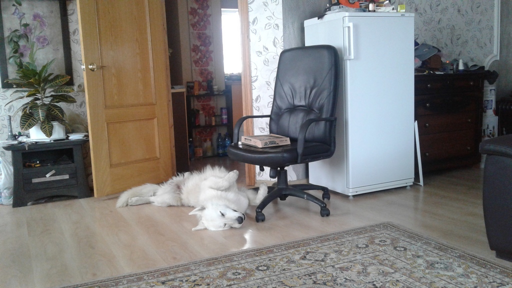 гранд.jpg