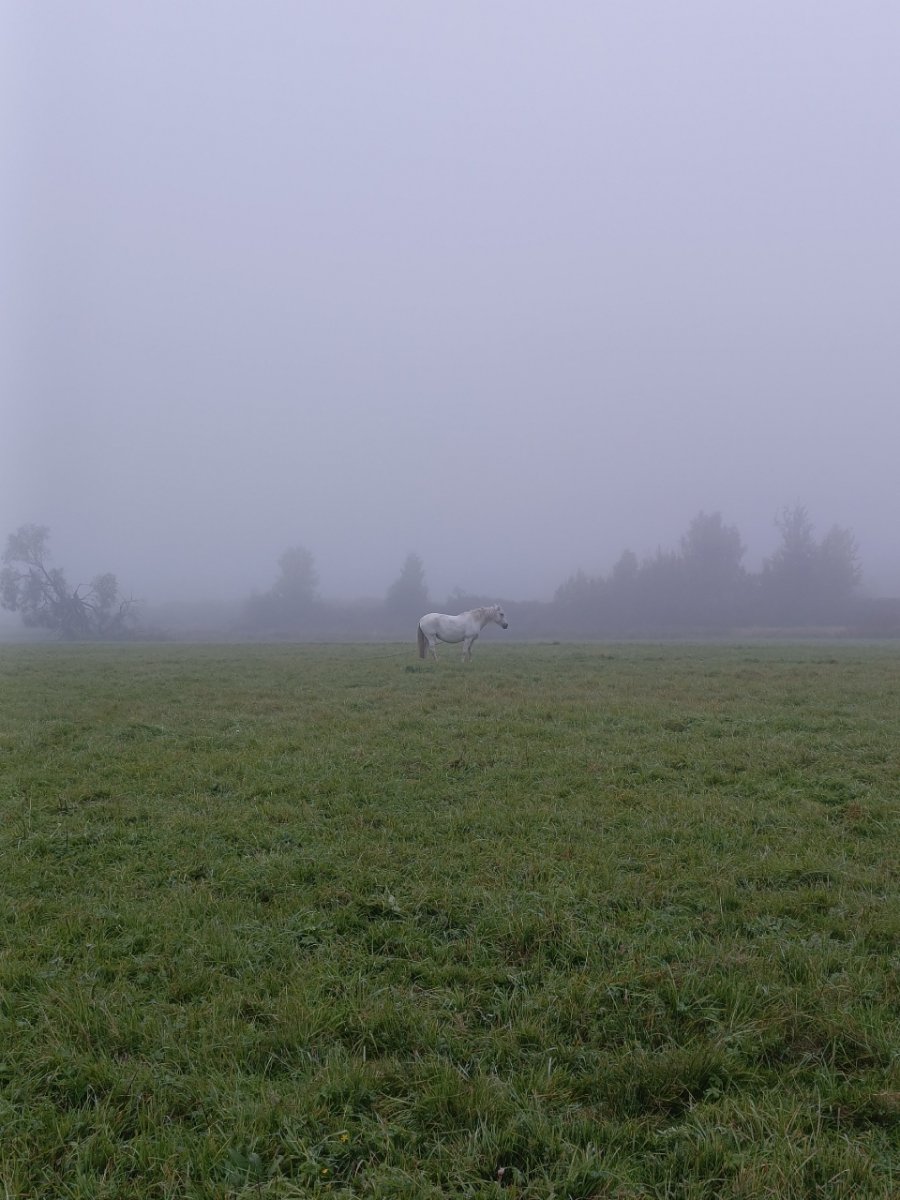 GXb71S-tKMnqFY4lks8LnnW336Wzu5tYHlWfC9KU_FJMD-EzluKB2_CxGF6RrhyeYrvOR4cGc3RjnRBzkAP-nQDe.jpg