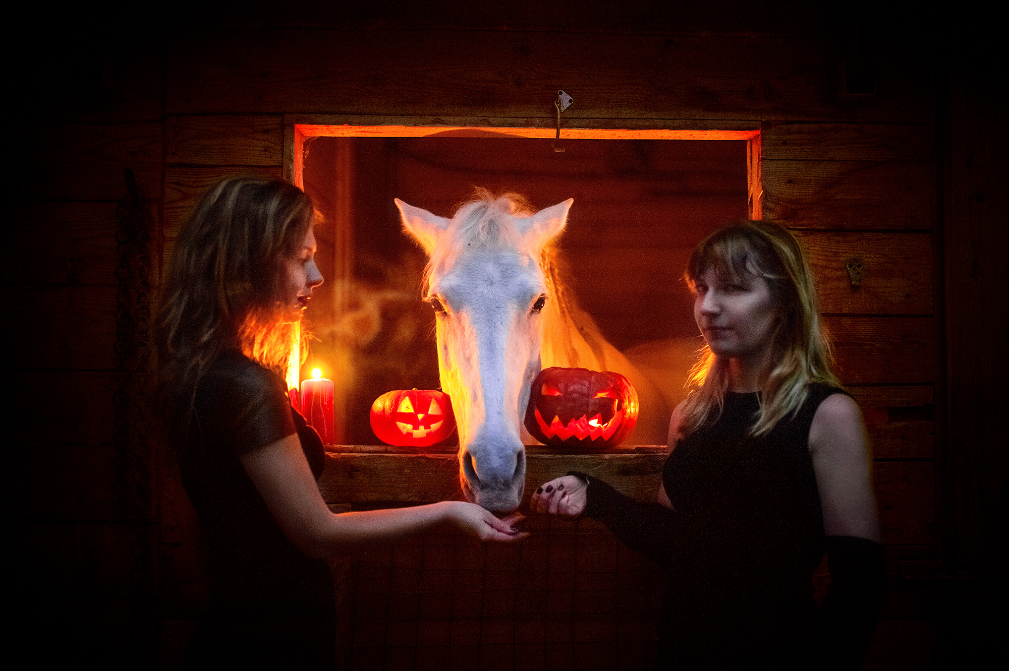 Halloween_20.jpg