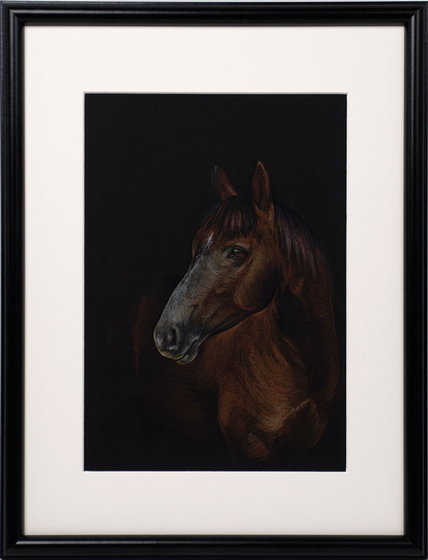 horse-1.jpg