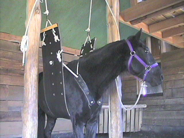 horse-sling 18th.jpg