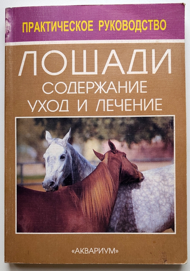 horses1.jpg